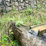 Jaegerlodge Am Waldrand In Διαμέρισμα *
